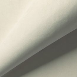 Велюр  Балтика - CF041-1 - Обивка для мягкой мебели Балтика